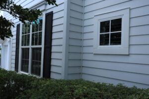 Tampa Window Replacement